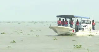 ভোলায় কোস্টগার্ডের অভিযানে জাল ও মা ইলিশ জব্দ